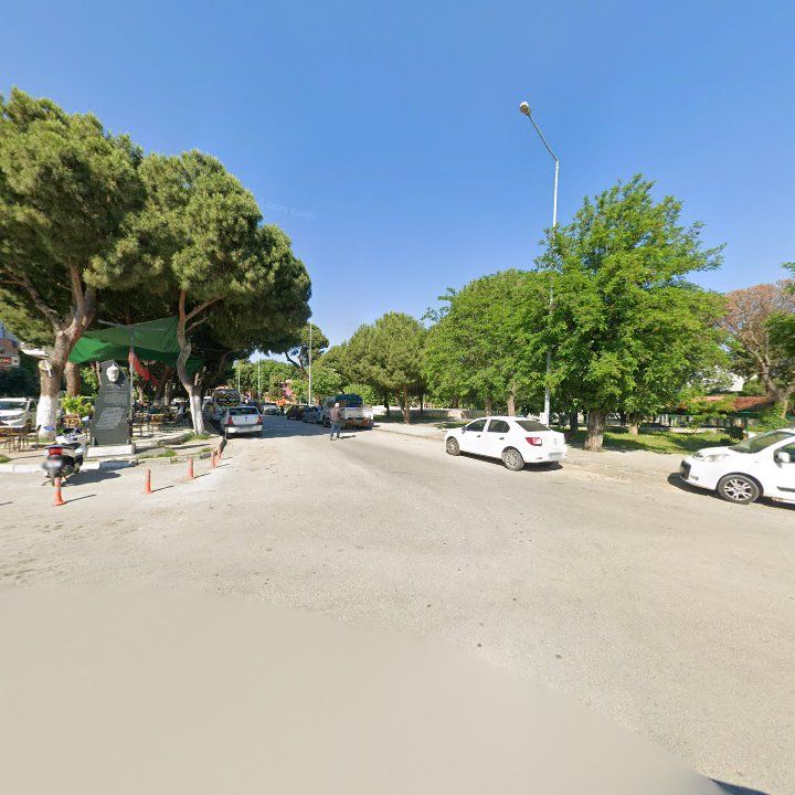 Fotoğraf 8