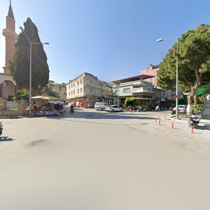 Fotoğraf 7