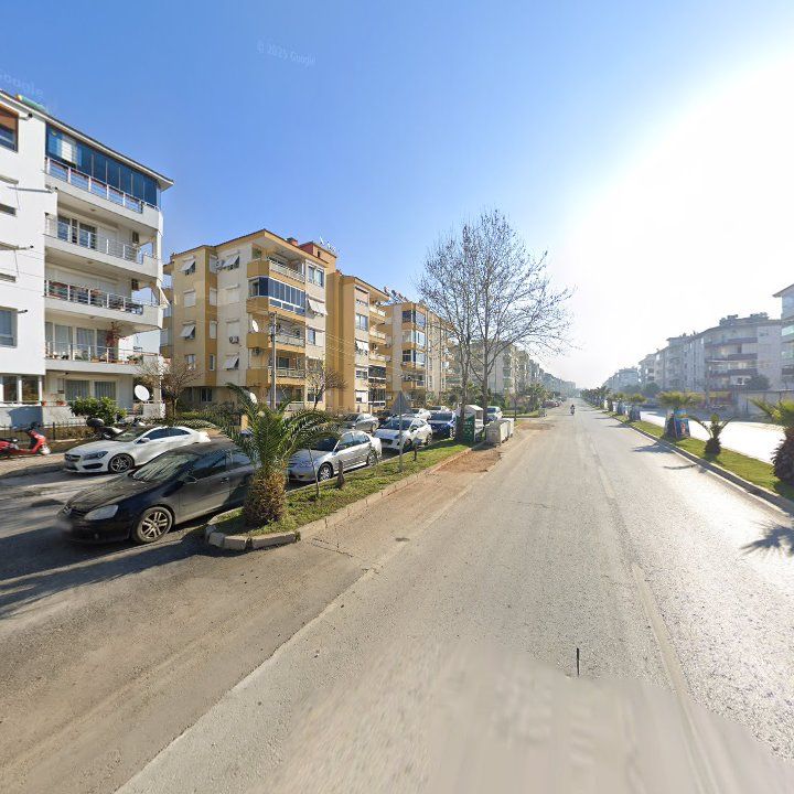 Fotoğraf 11