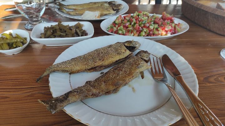 Ataköy Alabalık Tesisleri
