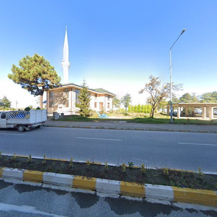 Fotoğraf 5