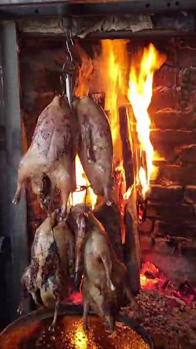 Fotoğraf 14