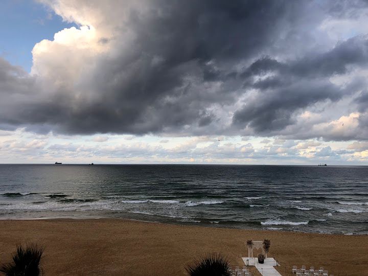 Fotoğraf 81
