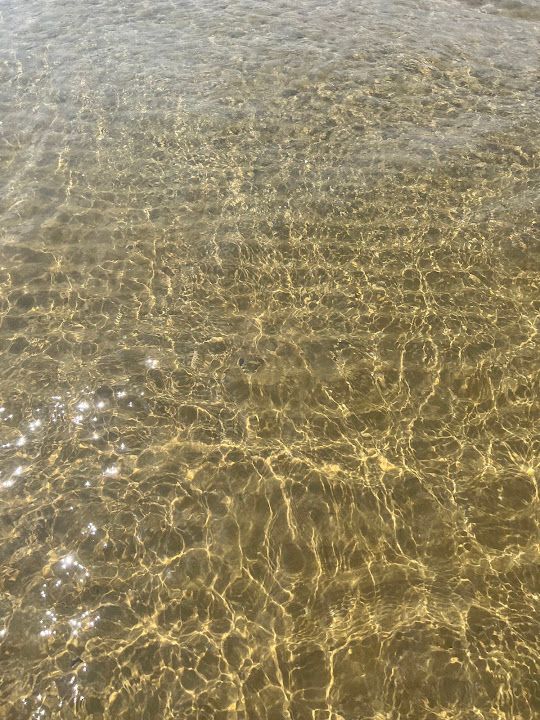 Fotoğraf 73