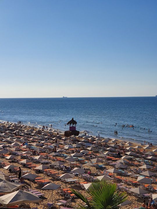 Fotoğraf 84
