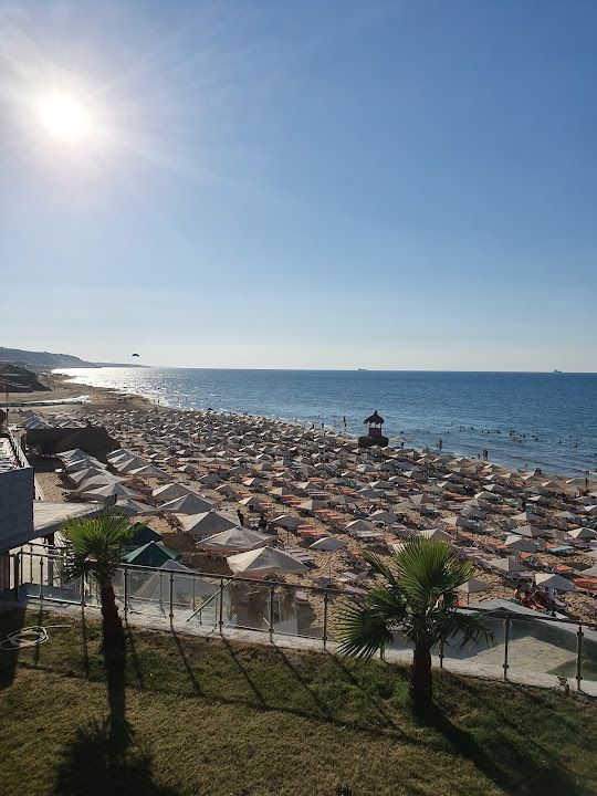 Fotoğraf 87