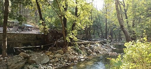 Yorum fotoğrafı 9