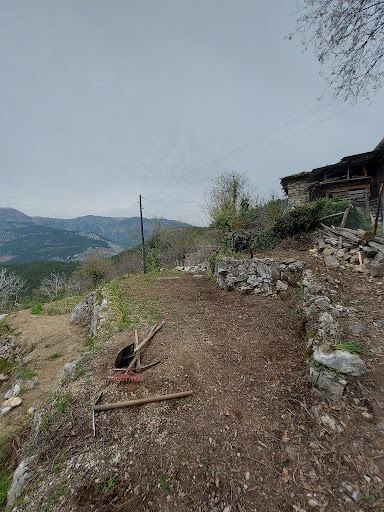 Yorum fotoğrafı 10