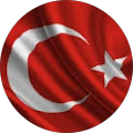 Tolgahan Giden