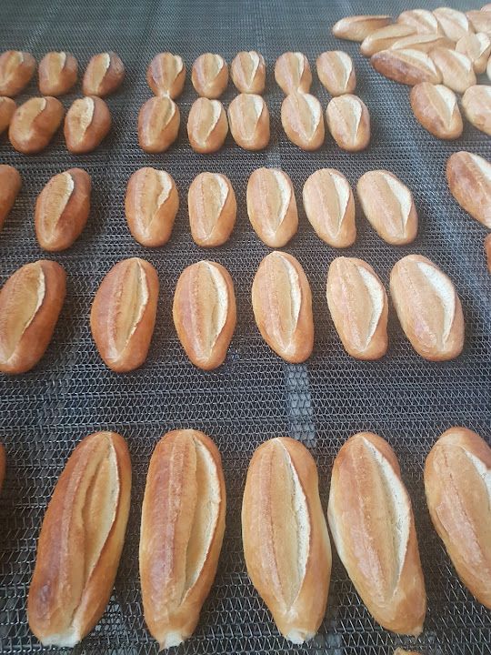 Fotoğraf 13