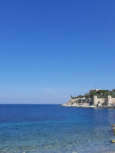 Fotoğraf 14