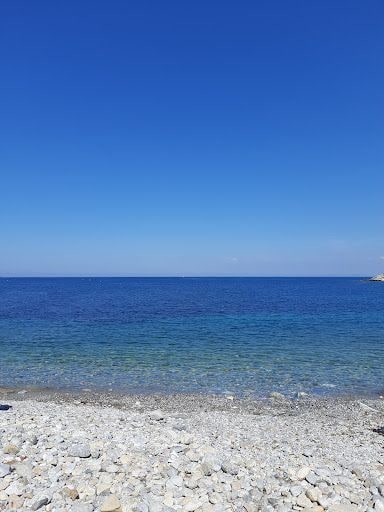 Fotoğraf 15