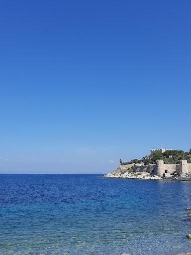 Fotoğraf 16