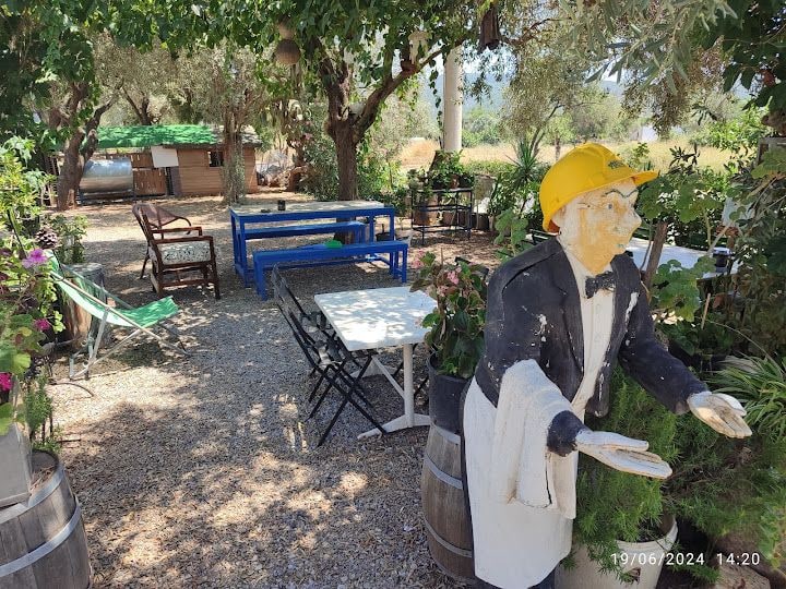 Fotoğraf 11