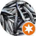 ToPaL HAMSİ