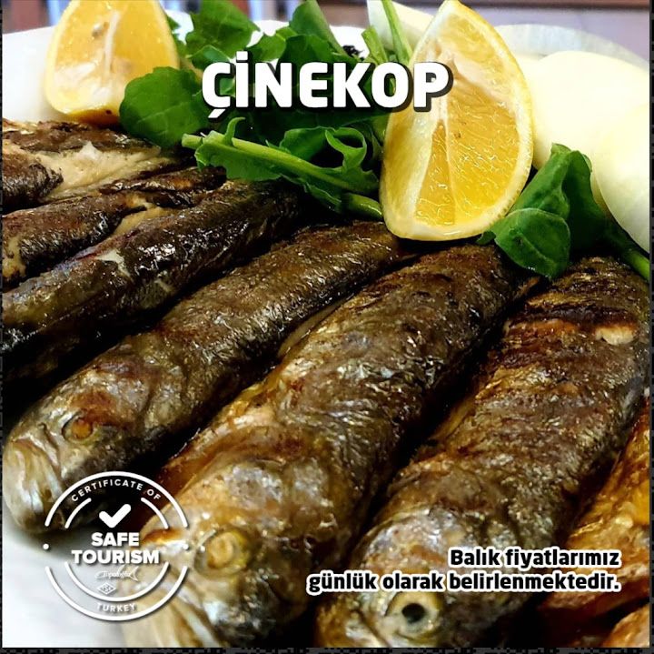 Fotoğraf 32