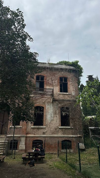 Yorum fotoğrafı 4