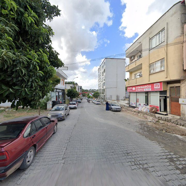 Fotoğraf 7