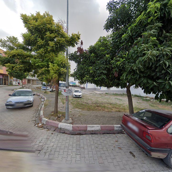 Fotoğraf 6