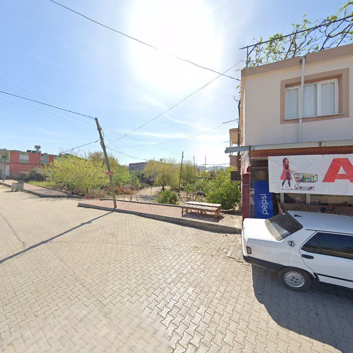 Fotoğraf 10