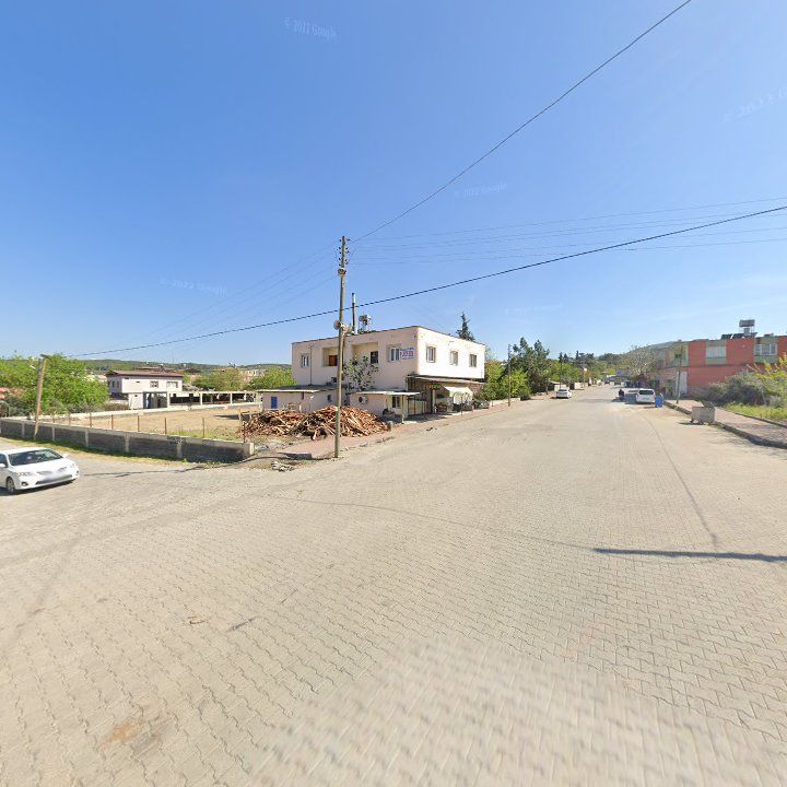 Fotoğraf 9