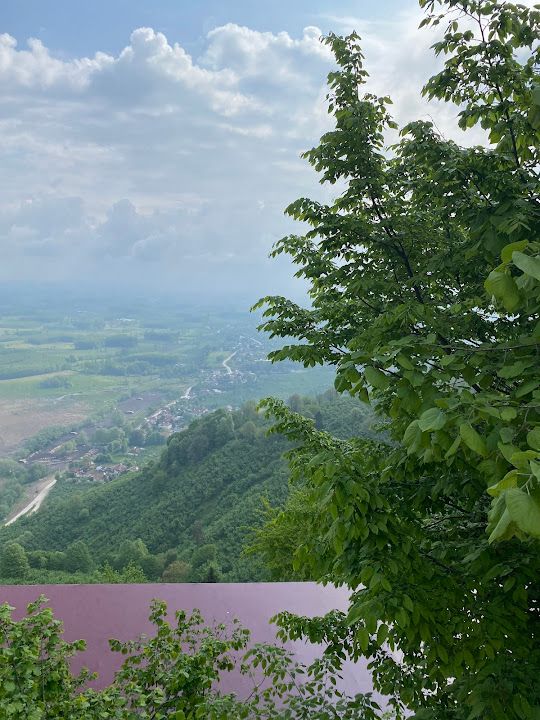 Fotoğraf 37