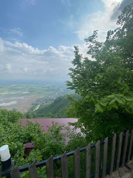 Fotoğraf 39