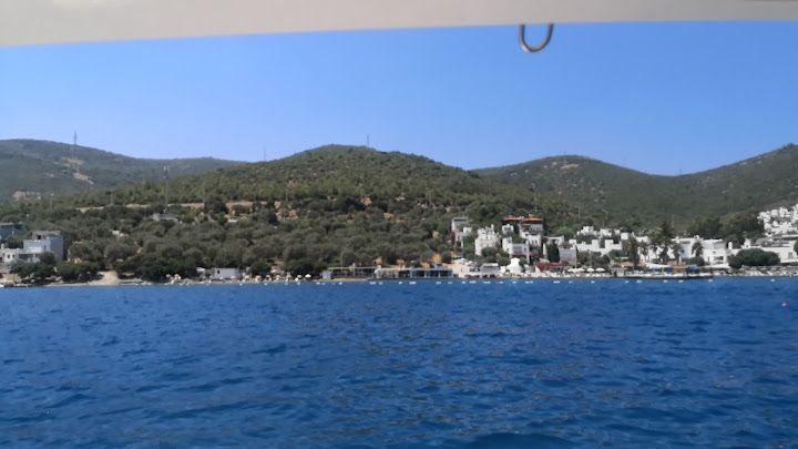 Fotoğraf 47