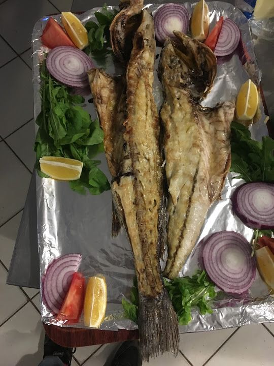 Fotoğraf 24