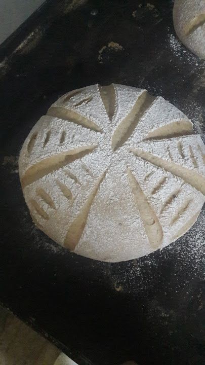 Fotoğraf 19