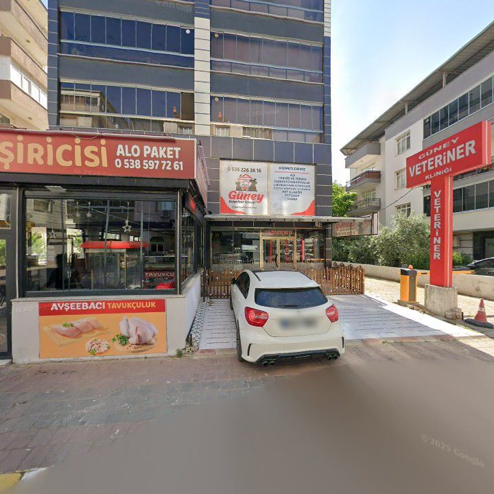Fotoğraf 7