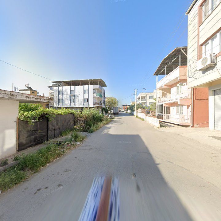 Fotoğraf 7