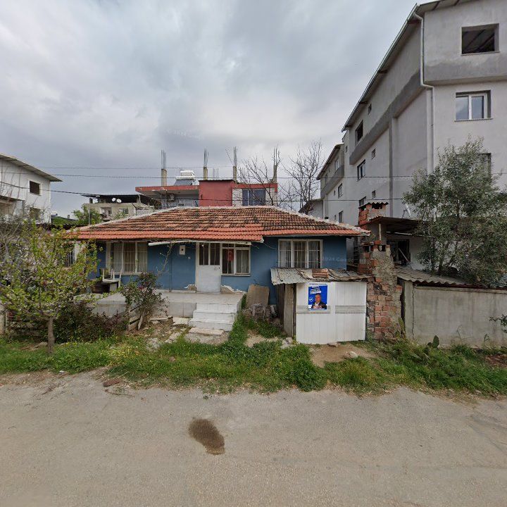 Fotoğraf 4