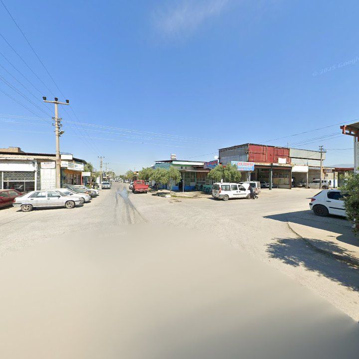 Fotoğraf 9
