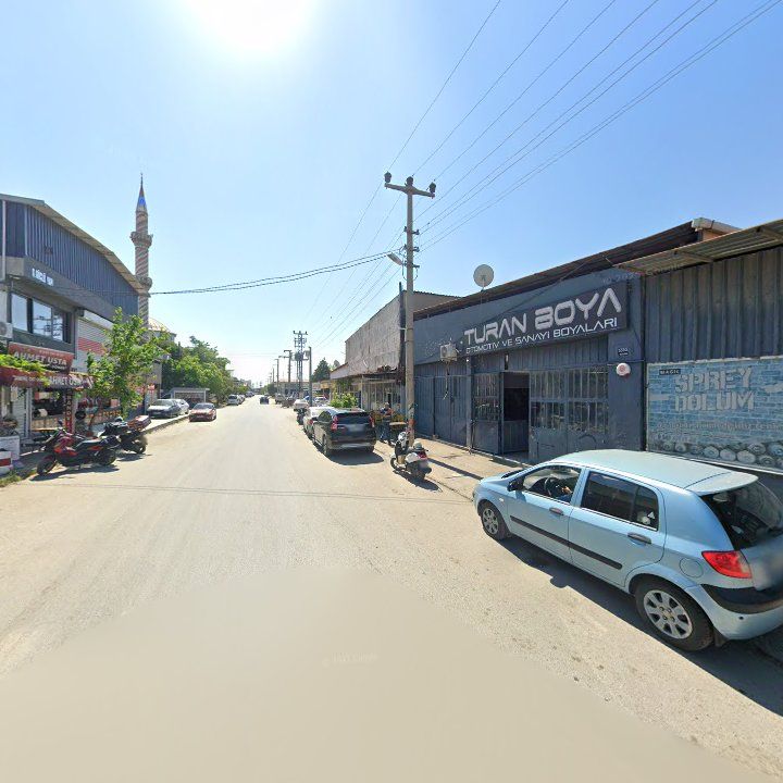 Fotoğraf 7
