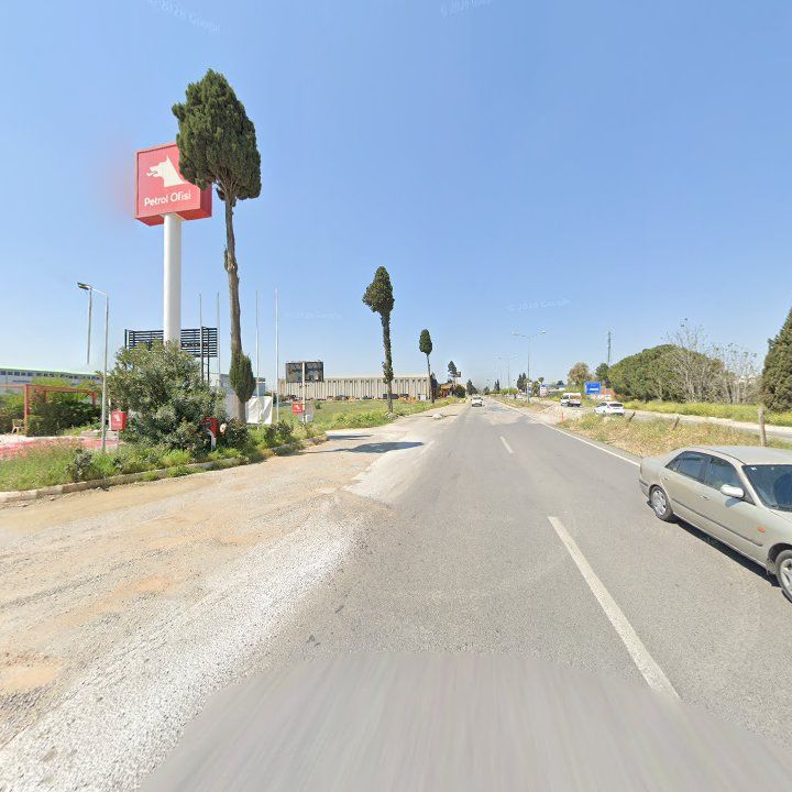 Fotoğraf 6