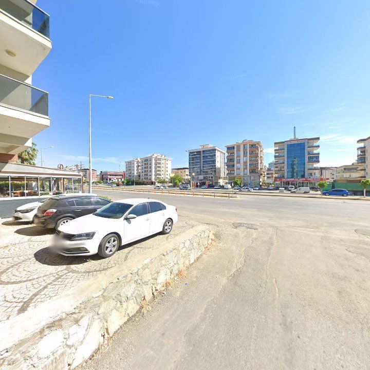 Fotoğraf 12