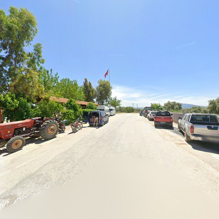Fotoğraf 6