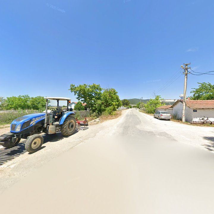 Fotoğraf 8