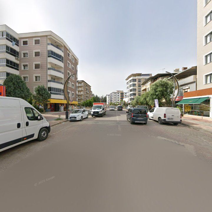 Fotoğraf 11