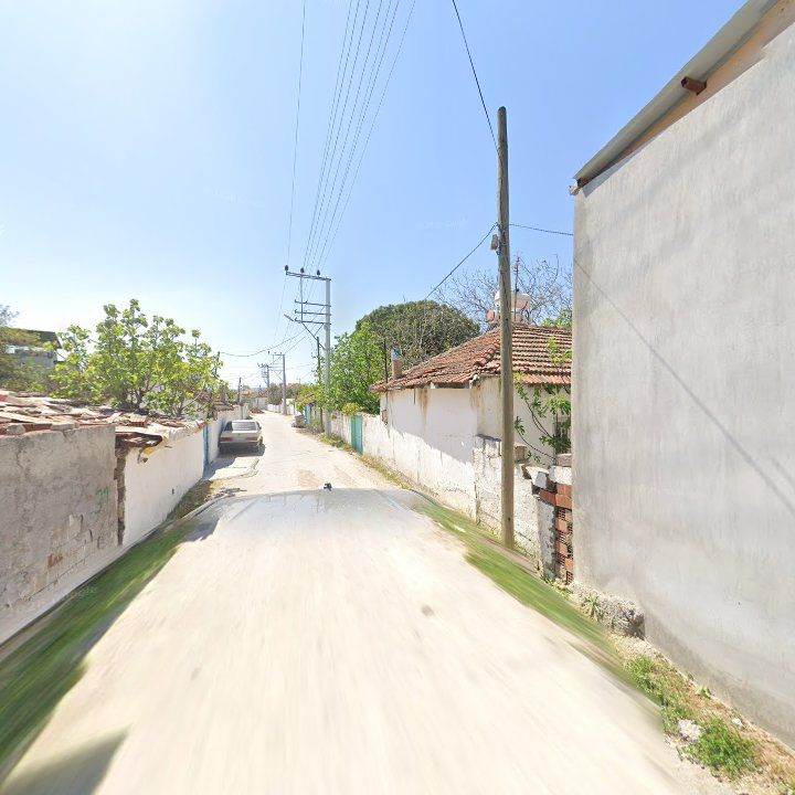 Fotoğraf 4
