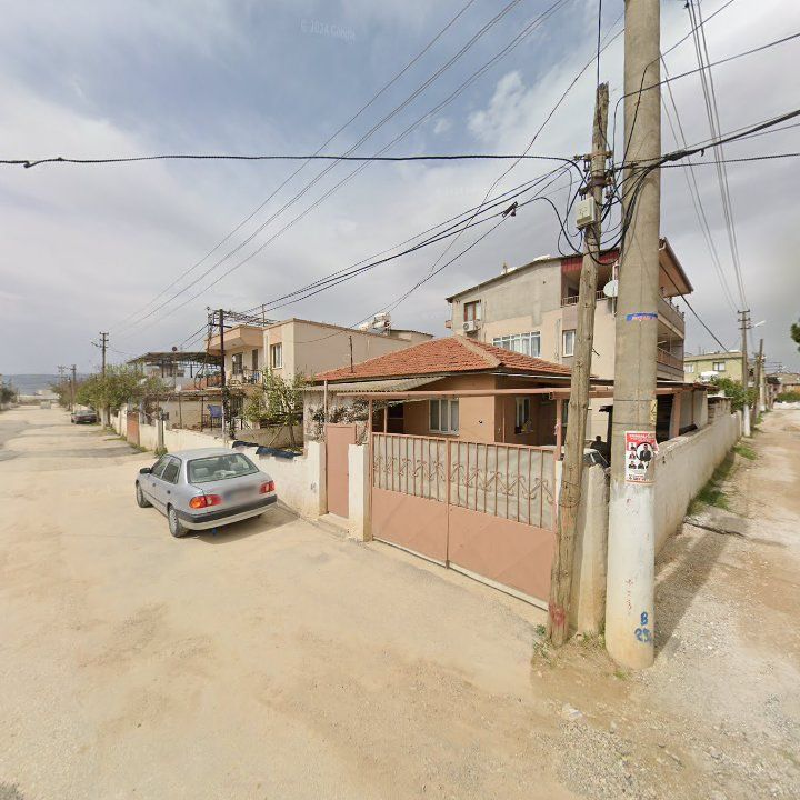 Fotoğraf 6