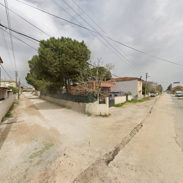 Fotoğraf 4