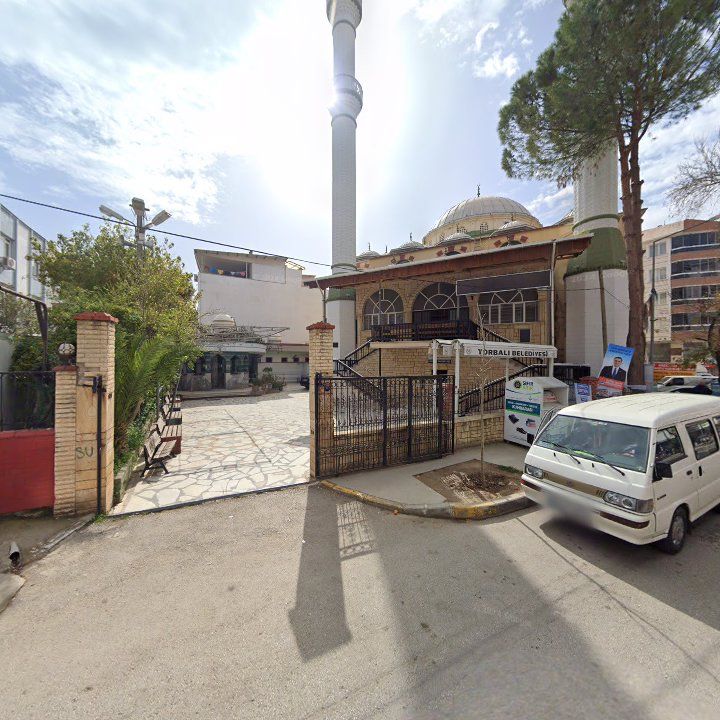 Fotoğraf 10