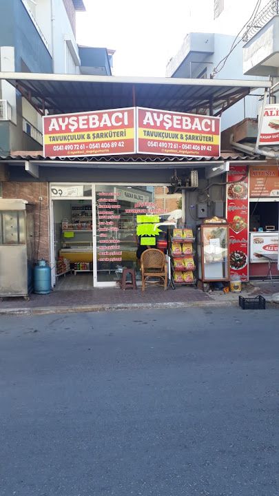 Aysebaci