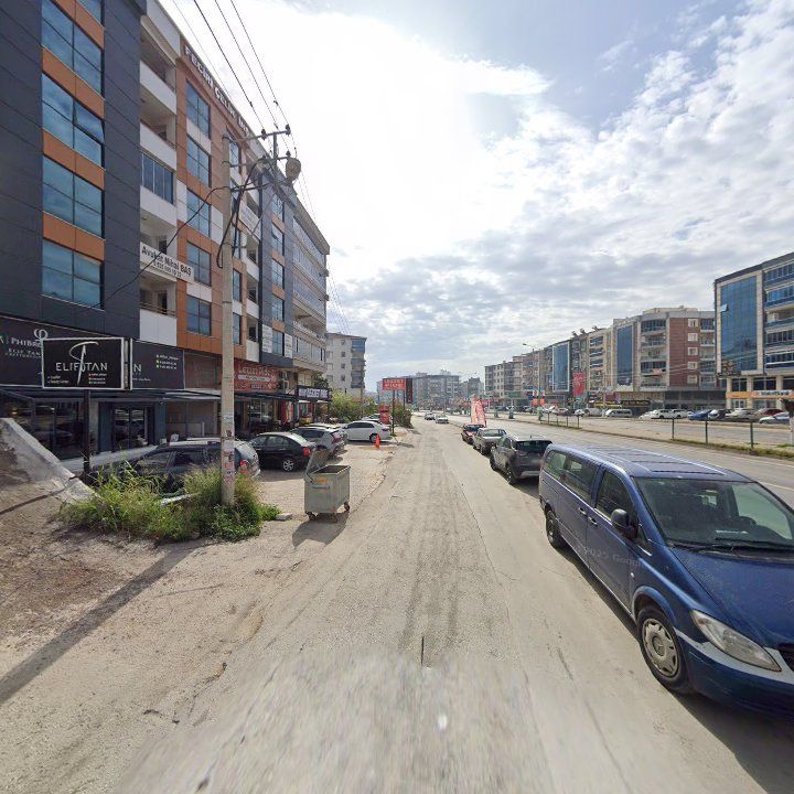 Fotoğraf 8