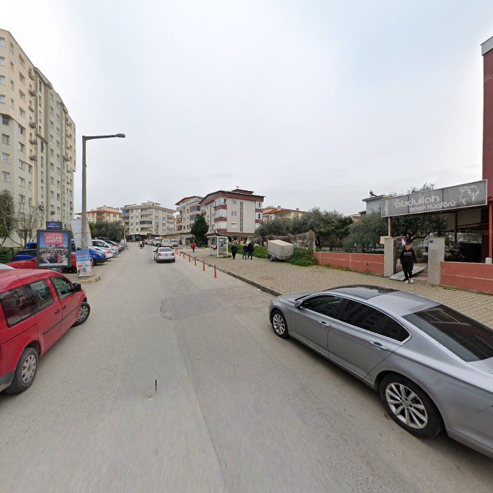Fotoğraf 11