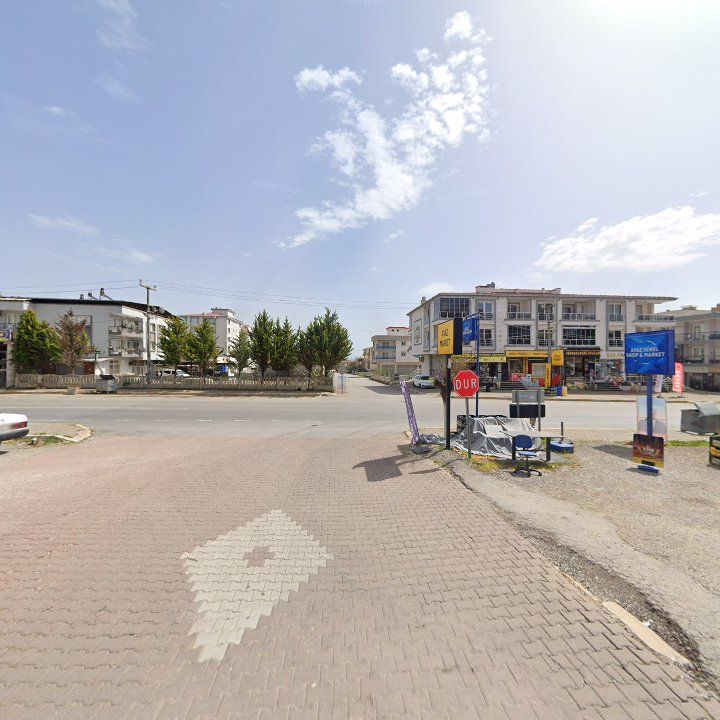 Fotoğraf 9