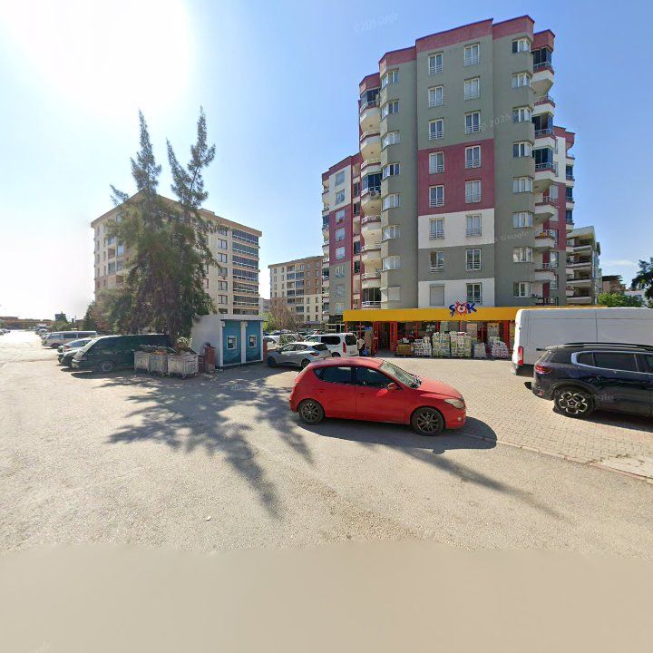 Fotoğraf 11
