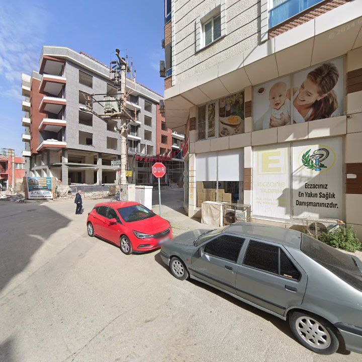 Fotoğraf 12